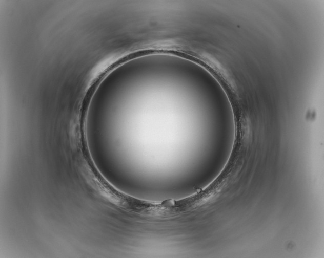 X0000094181176200710261125