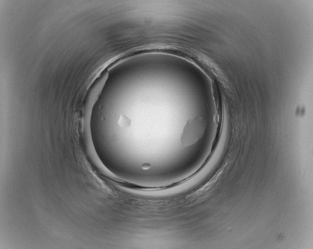 X0000094181177200710261125