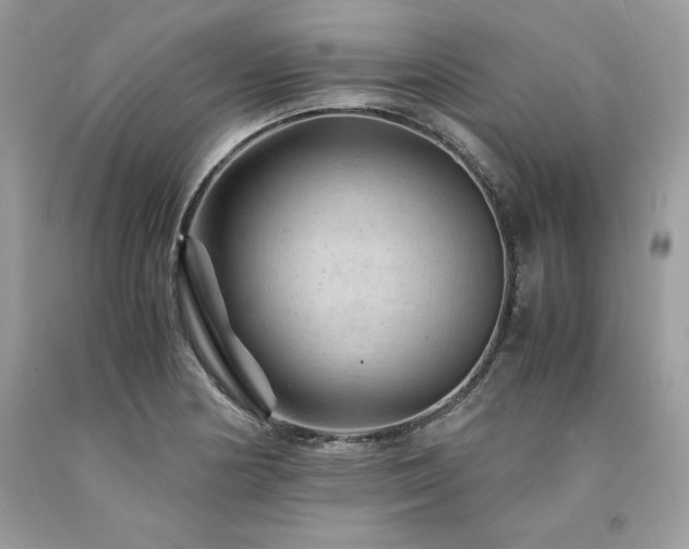 X0000094181178200710261125
