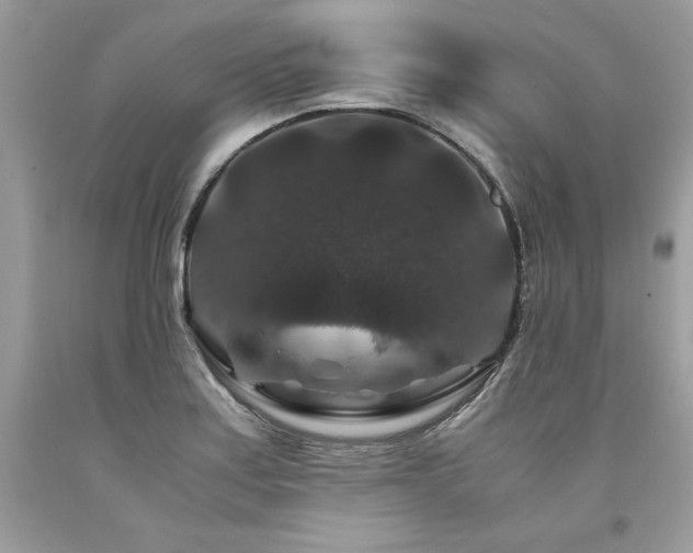 X0000094181179200710261125