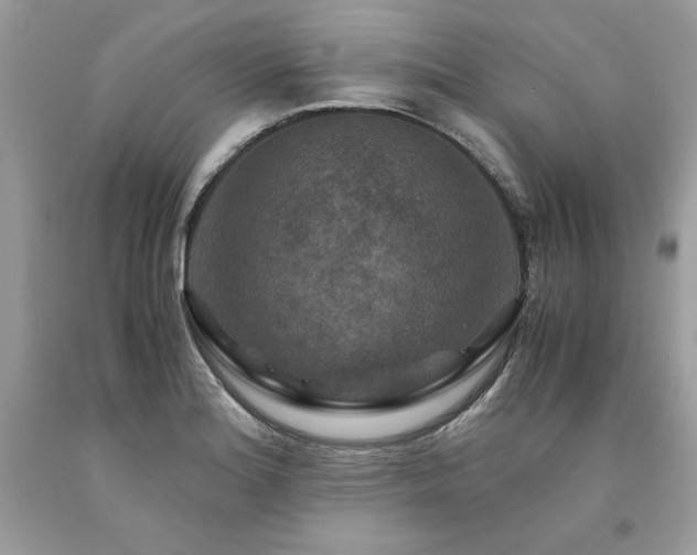X0000094181180200710261125