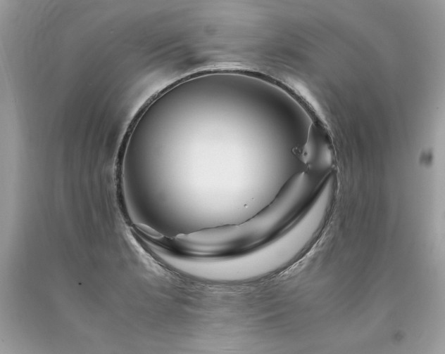 X0000094181181200710261125