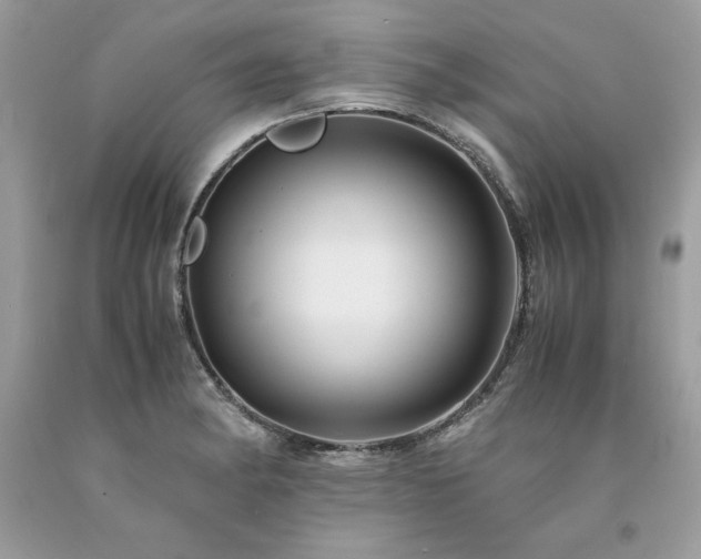 X0000094181182200710261125