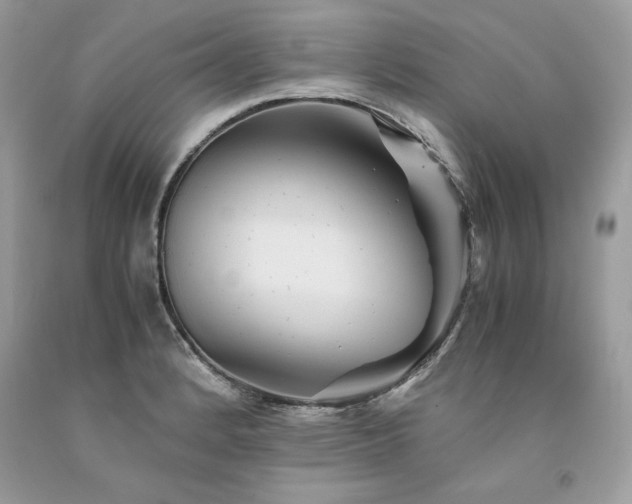 X0000094181184200710261125