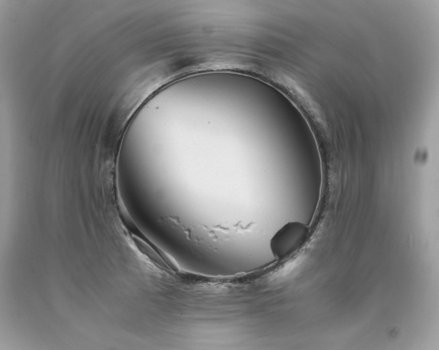 X0000094181185200710261125