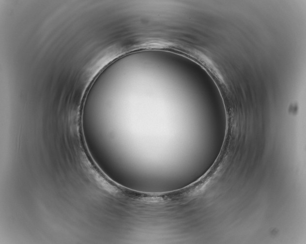 X0000094181186200710261125