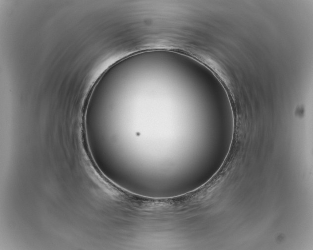 X0000094181187200710261125
