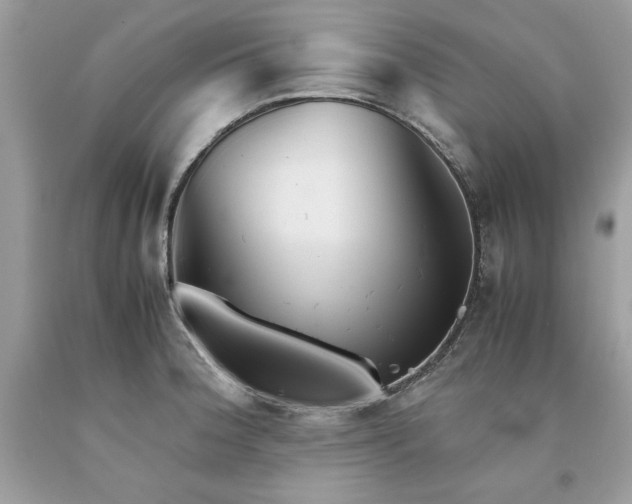 X0000094181188200710261125