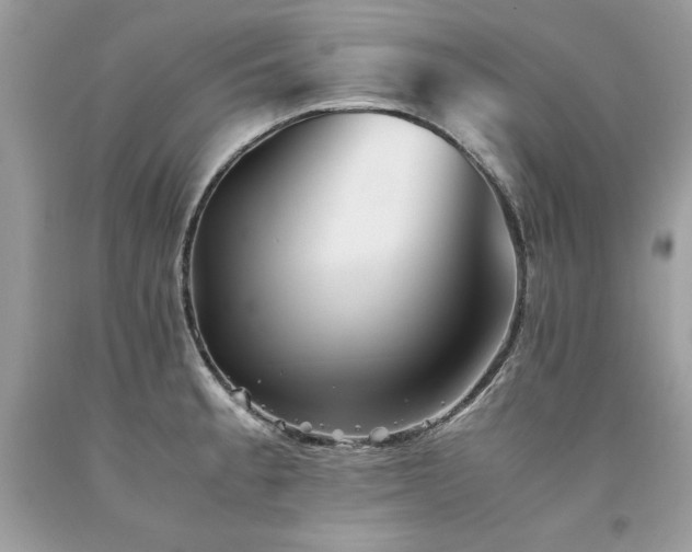 X0000094181189200710261125