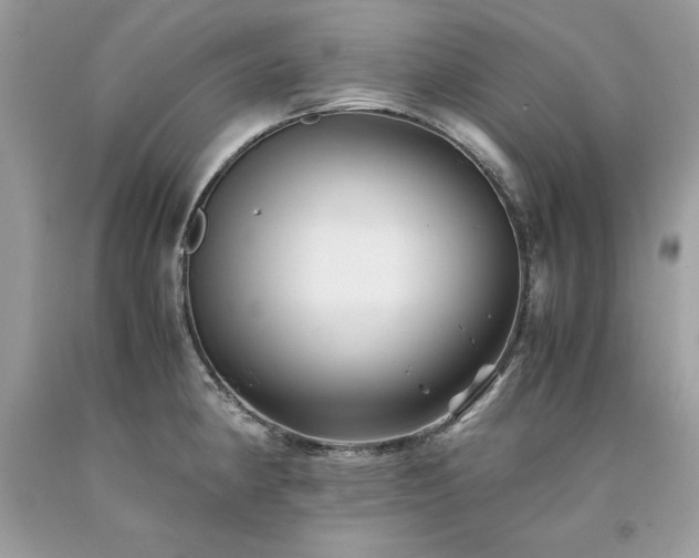 X0000094181190200710261125