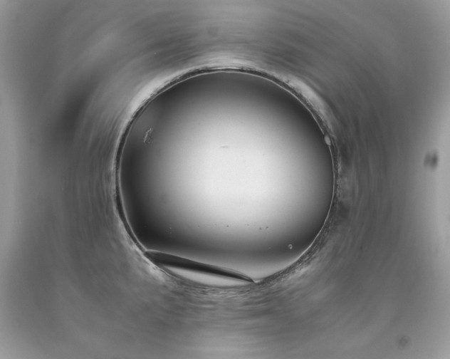 X0000094181191200710261125
