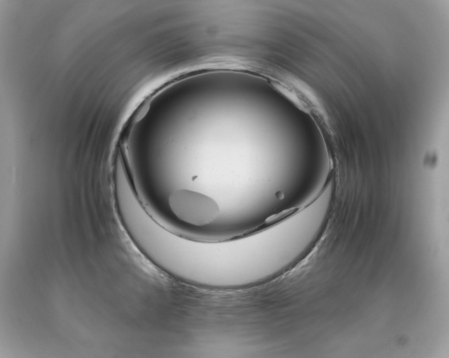 X0000094181192200710261125