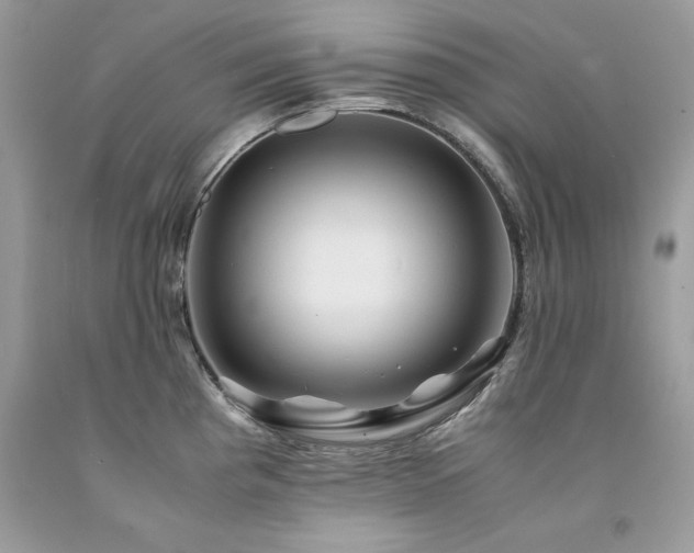 X0000094181193200710261125