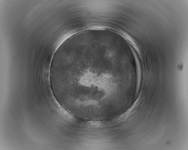 X0000094181194200710261125