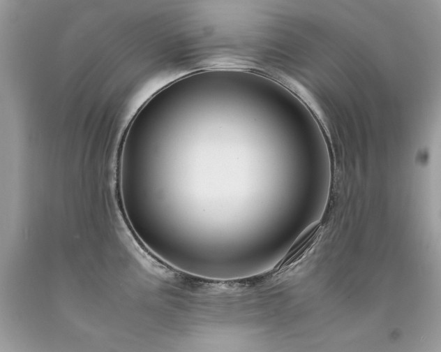 X0000094181195200710261125