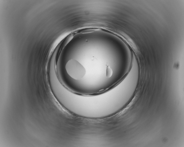 X0000094181196200710261124