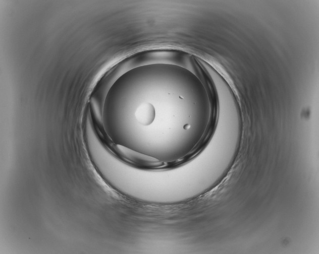 X0000094181197200710261124