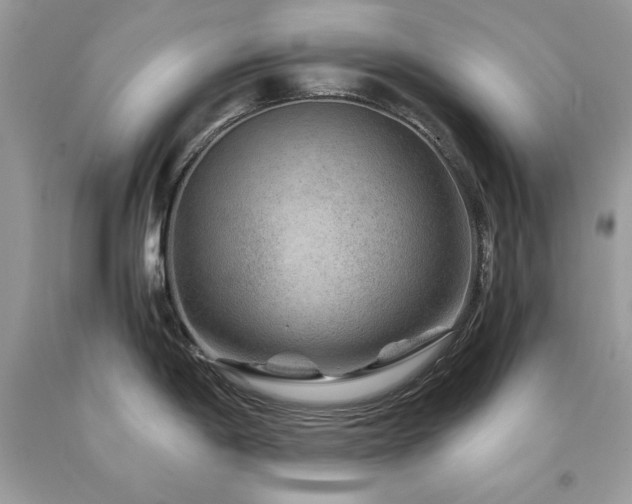 X0000094181198200710261124
