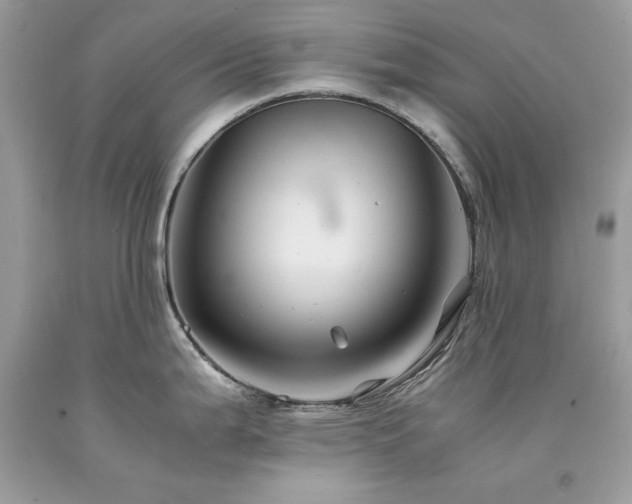 X0000094181199200710261124