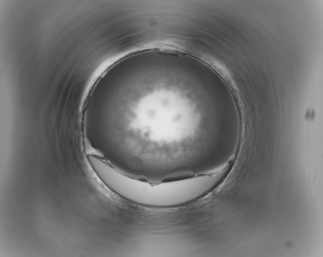 X0000094181200200710261124