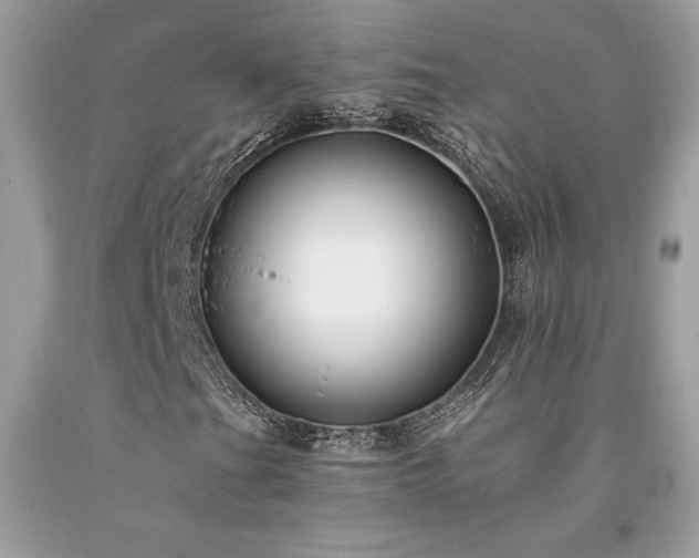 X0000094181201200710261124