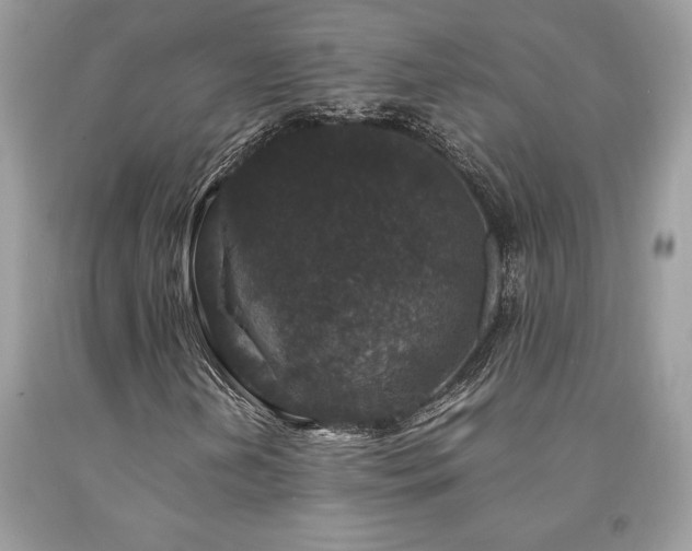 X0000094181202200710261124