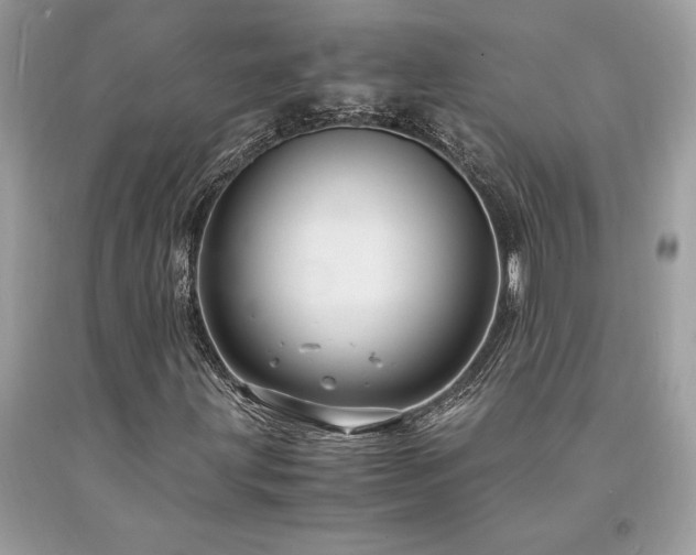 X0000094181203200710261124