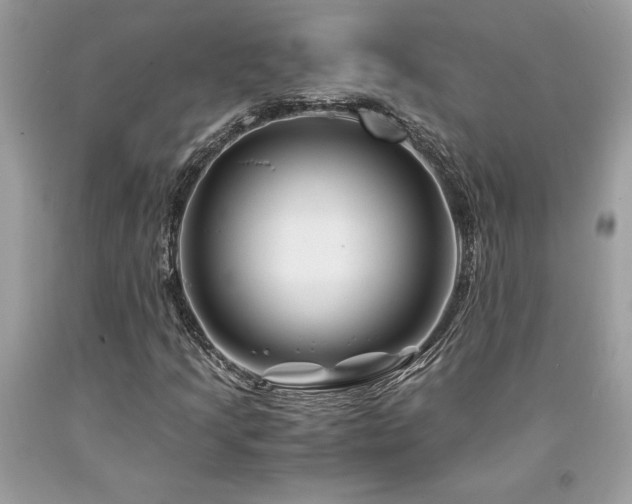X0000094181205200710261124
