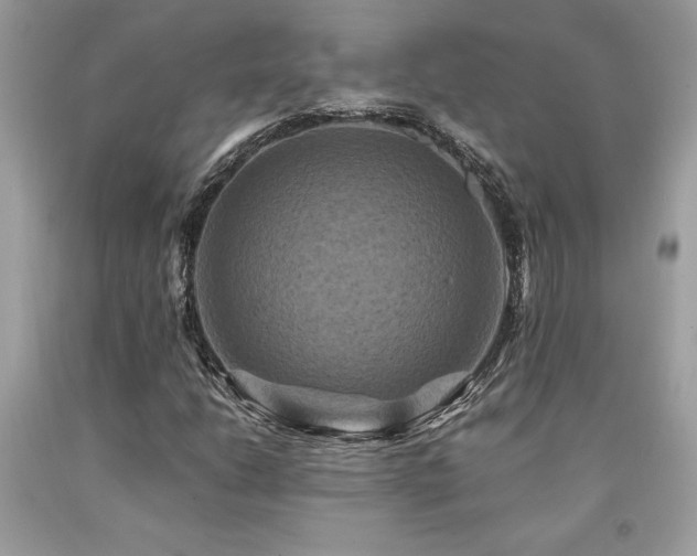 X0000094181206200710261124