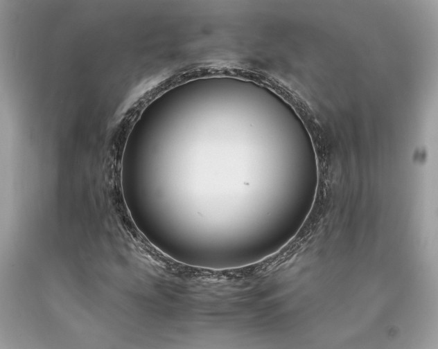 X0000094181207200710261124