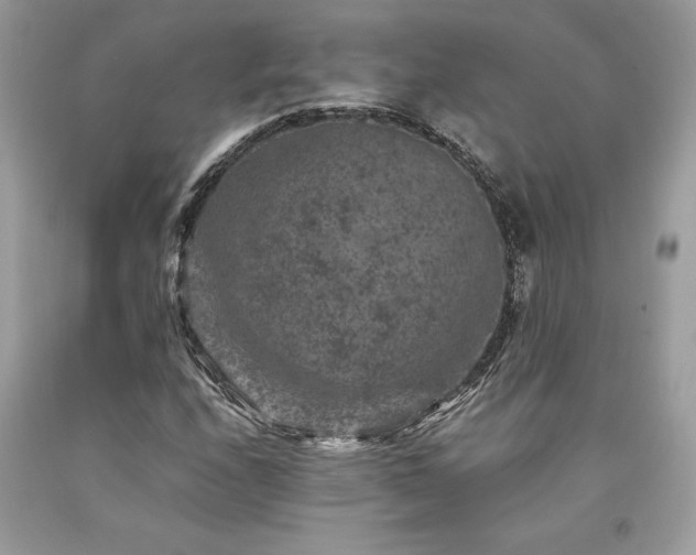 X0000094181208200710261124