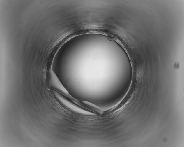 X0000094181209200710261124