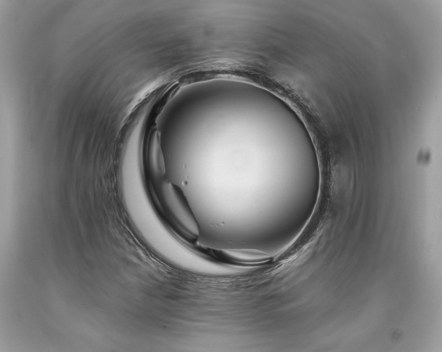 X0000094181210200710261124