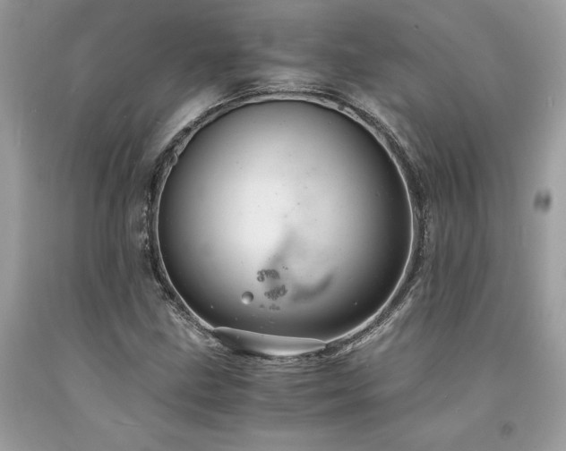 X0000094181211200710261124