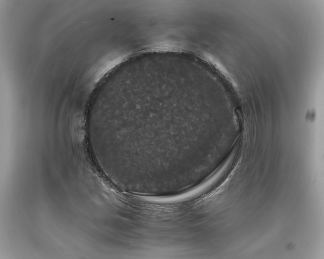 X0000094181213200710261124