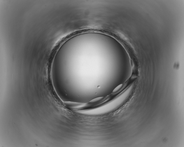 X0000094181214200710261124