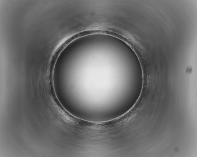 X0000094181216200710261124