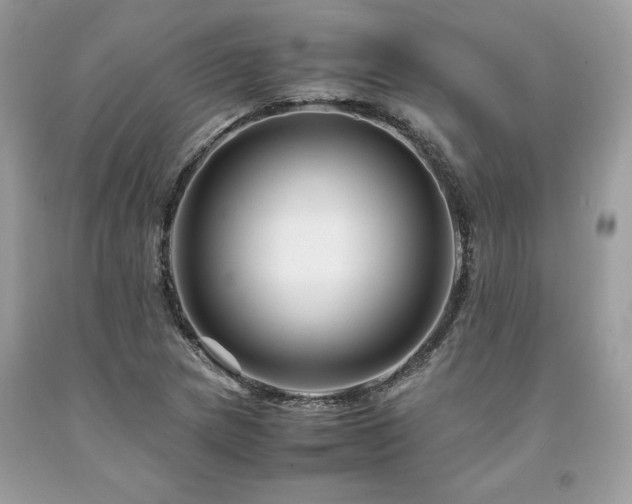 X0000094181217200710261124
