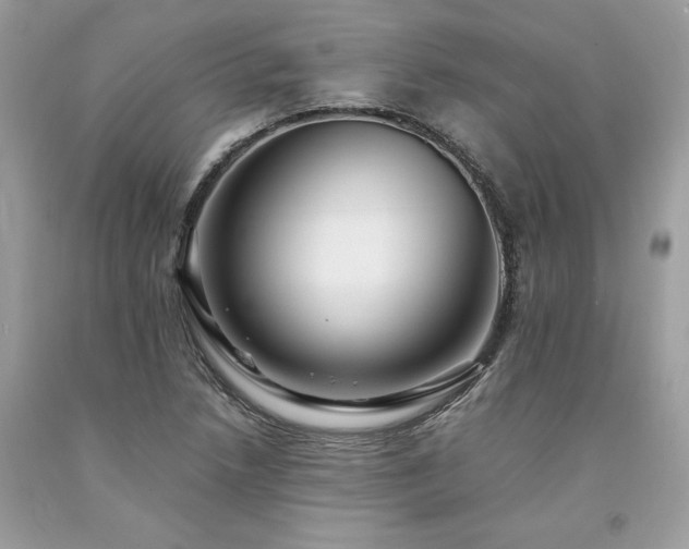 X0000094181218200710261124