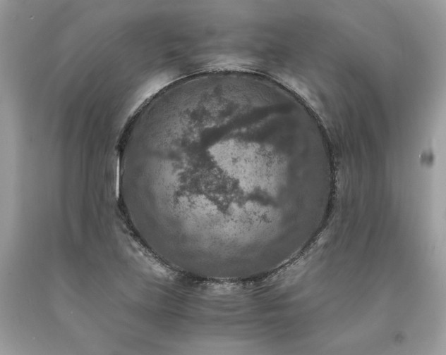 X0000094181219200710261124