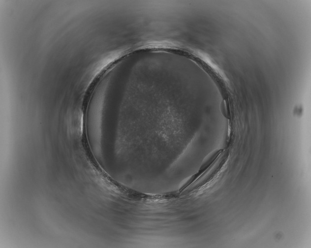 X0000094181221200710261124
