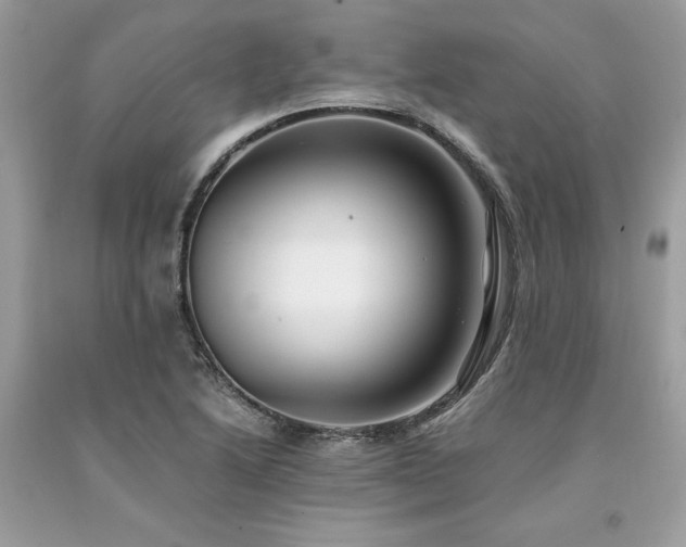 X0000094181222200710261124