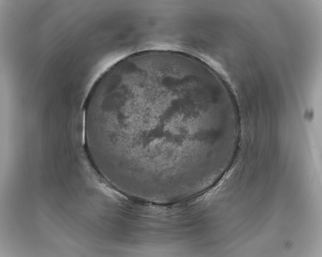 X0000094181223200710261124
