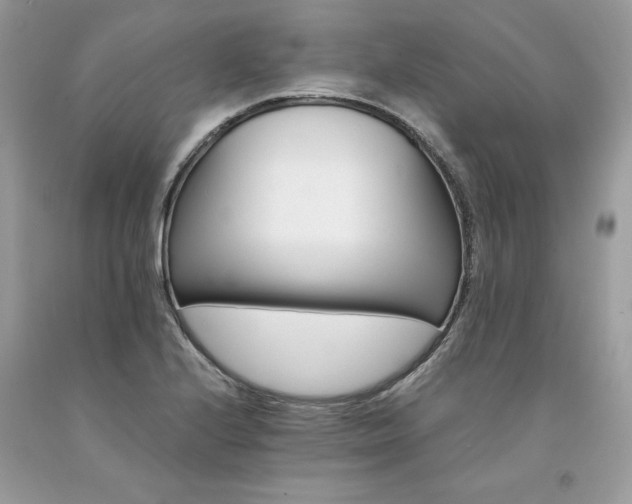 X0000094181224200710261124