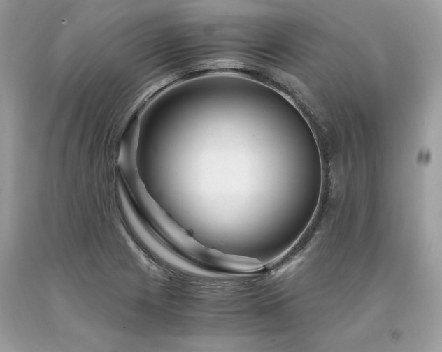 X0000094181225200710261124