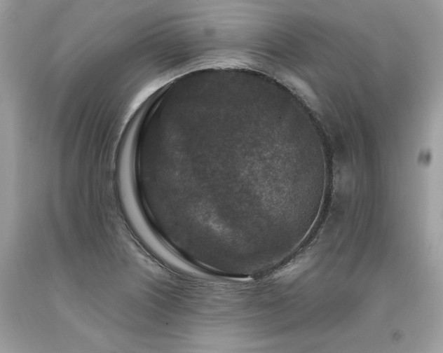 X0000094181226200710261124
