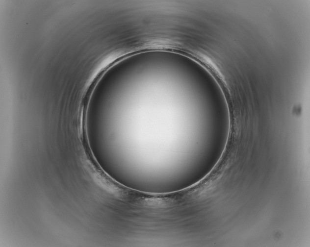 X0000094181227200710261124