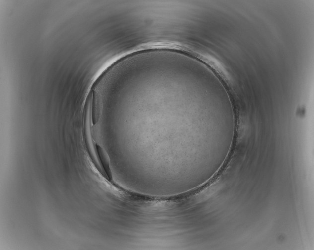 X0000094181228200710261124