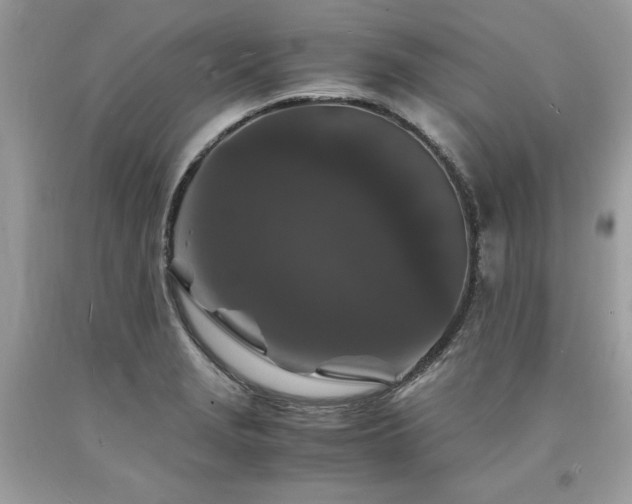 X0000094181229200710261124