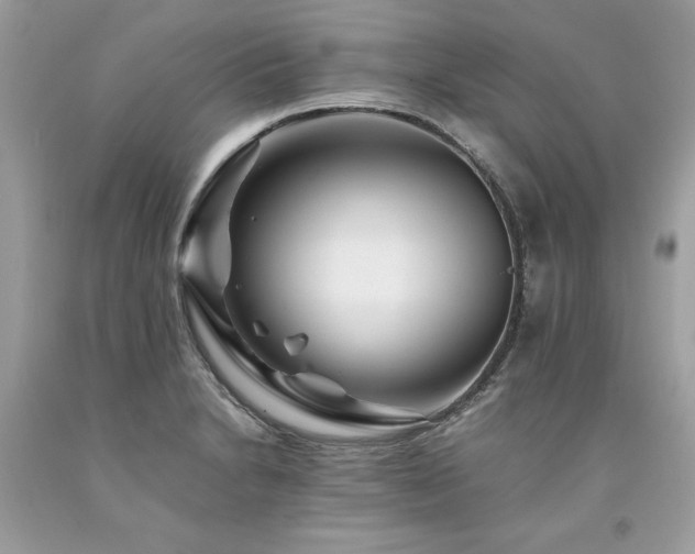 X0000094181230200710261124